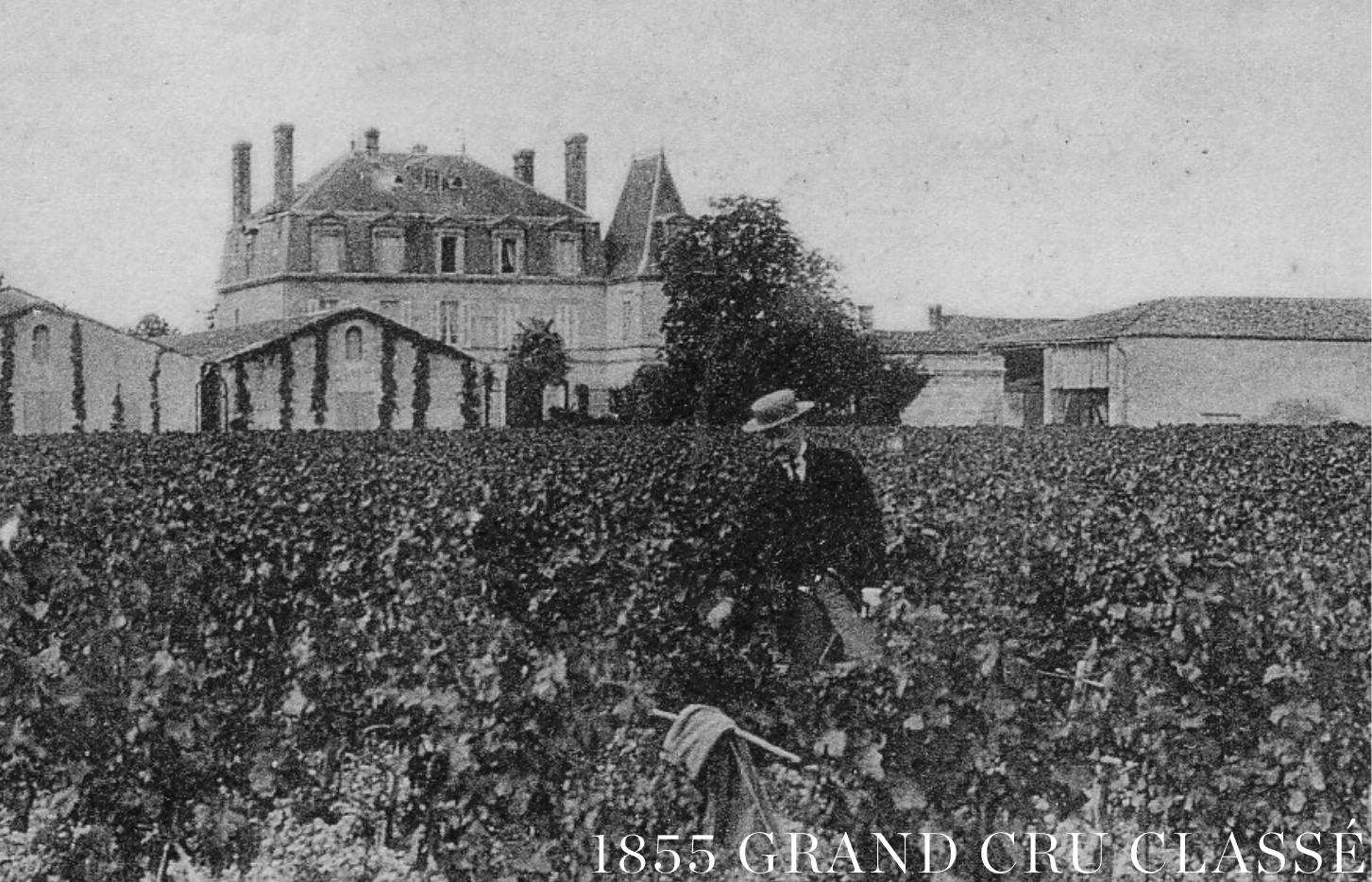 1855 Grand Cru Classé