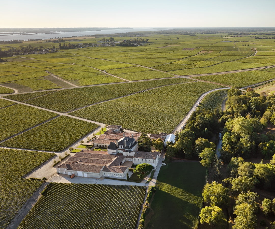L’océan et l’estuaire, discrets protecteurs